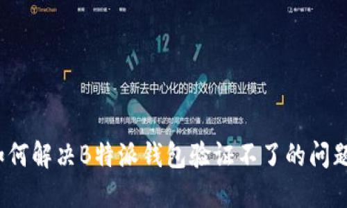 如何解决B特派钱包验证不了的问题？