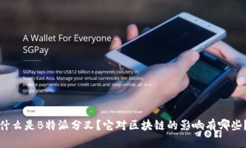 什么是B特派分叉？它对区块链的影响有哪些？
