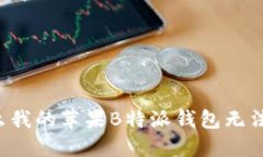 为什么我的苹果B特派钱包无法安装？