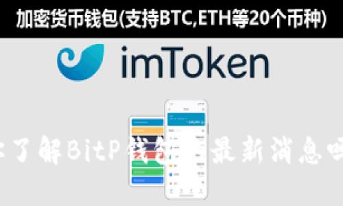 你了解BitP钱包的最新消息吗？