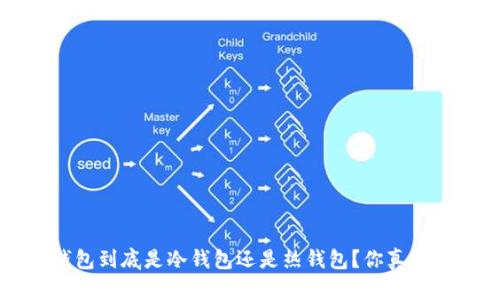 “b特派钱包到底是冷钱包还是热钱包？你真的了解吗？”