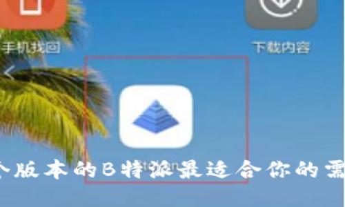 哪个版本的B特派最适合你的需求？