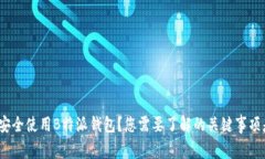 : 如何安全使用B特派钱包？您需要了解的关键事