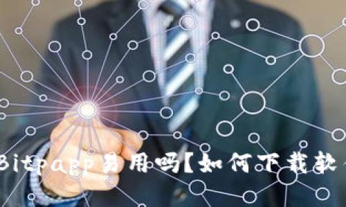 : Bitpapp易用吗？如何下载软件？