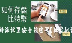 如何为B特派设置安全锁密码？独家秘诀大解析！