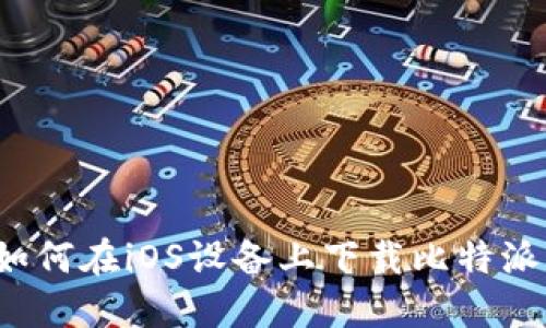 如何在iOS设备上下载比特派？