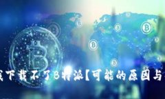 为什么我下载不了B特派？可能的原因与解决方案