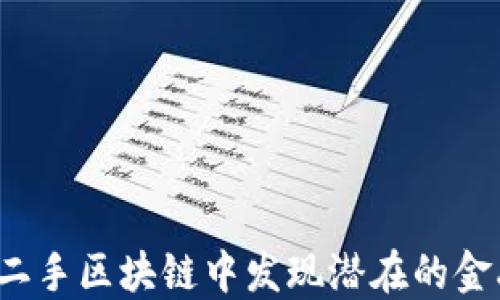 
如何在二手区块链中发现潜在的金融机会？