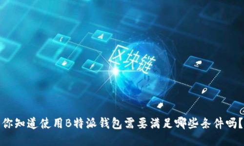 你知道使用B特派钱包需要满足哪些条件吗？