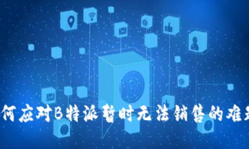 如何应对B特派暂时无法销售的难题？