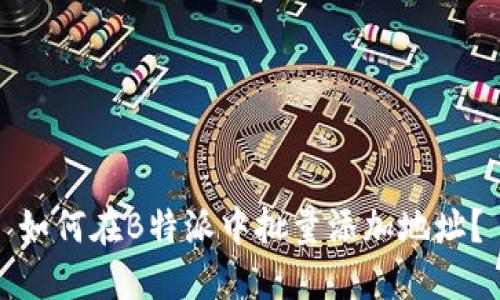 如何在B特派中批量添加地址？