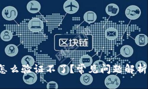 b特派钱包怎么验证不了？常见问题解析与解决方案