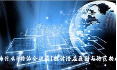为什么B特派会被盗？探讨潜在原因与防范措施