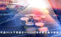 如何在iOS上下载安装Bitpapp？简单教程教你轻松上