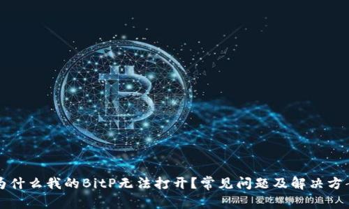 为什么我的BitP无法打开？常见问题及解决方案