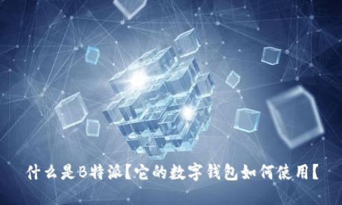 什么是B特派？它的数字钱包如何使用？