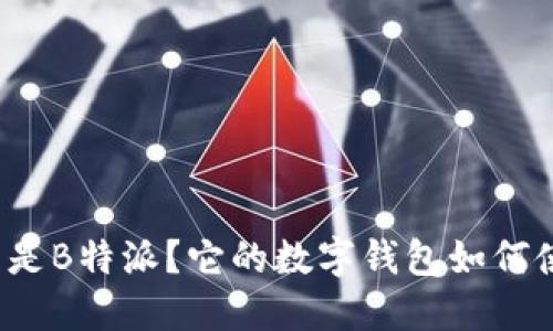 什么是B特派？它的数字钱包如何使用？