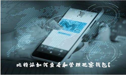 比特派如何查看和管理观察钱包？