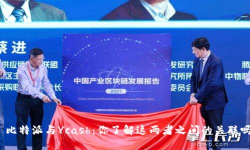 : 比特派与Ycash：你了解这两者之间的关联吗？