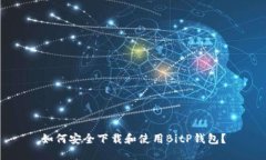 如何安全下载和使用BitP钱包？
