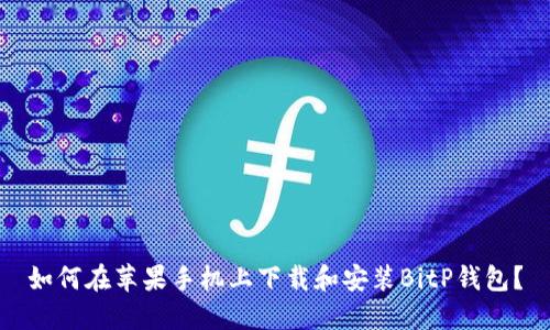 如何在苹果手机上下载和安装BitP钱包？