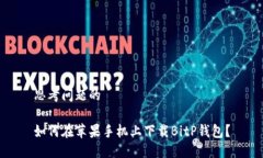思考问题的如何在苹果手机上下载BitP钱包？