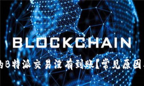 为什么你的B特派交易没有到账？常见原因及解决方法