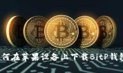 如何在苹果设备上下载BitP钱包？