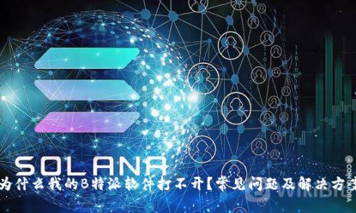 为什么我的B特派软件打不开？常见问题及解决方案