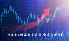 什么是B特派交易密码，它有多少位？