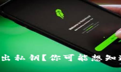 如何从BitP中导出私钥？你可能想知道这背后的秘密！