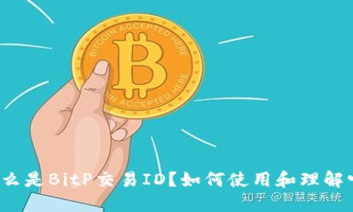 什么是BitP交易ID？如何使用和理解它？