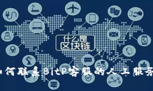 如何联系BitP客服的人工服务？