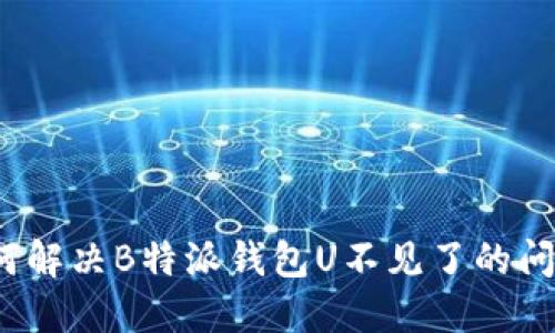 如何解决B特派钱包U不见了的问题？