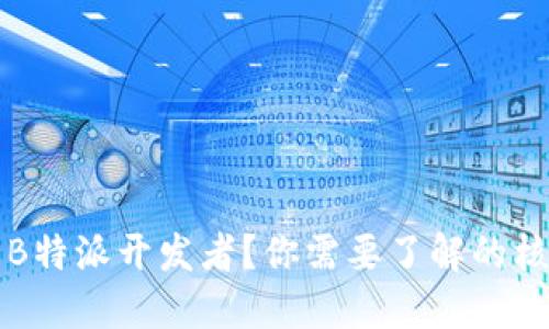 什么是B特派开发者？你需要了解的核心要点
