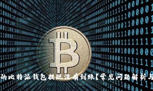 为什么我的比特派钱包提现没有到账？常见问题解析与解决方案