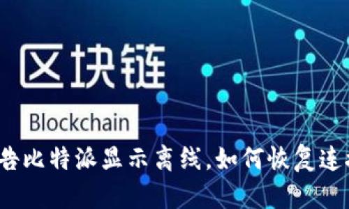 被告比特派显示离线，如何恢复连接？