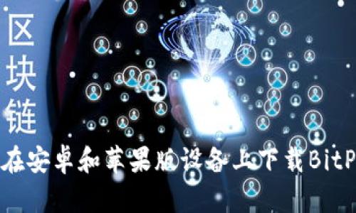 如何在安卓和苹果版设备上下载BitPapp？