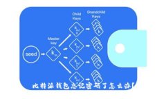 比特派钱包忘记密码了怎么办？