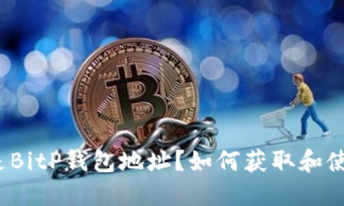 什么是BitP钱包地址？如何获取和使用它？