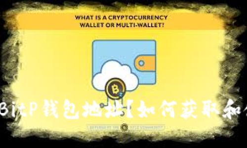 什么是BitP钱包地址？如何获取和使用它？