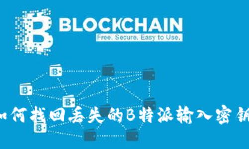 如何找回丢失的B特派输入密钥？