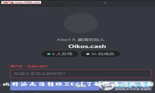 为什么比特派无法转账ZEC？了解潜在问题与解决方案