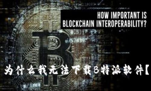 为什么我无法下载B特派软件？