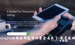 schapti比特派钱包中的资金丢失了，能否追回？