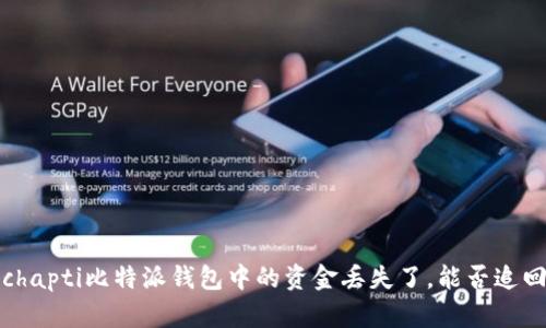 schapti比特派钱包中的资金丢失了，能否追回？