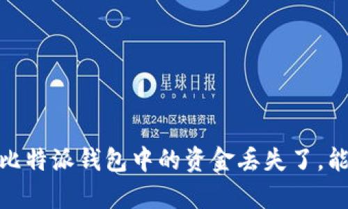 schapti比特派钱包中的资金丢失了，能否追回？