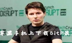 如何在苹果手机上下载BitP最新版本？