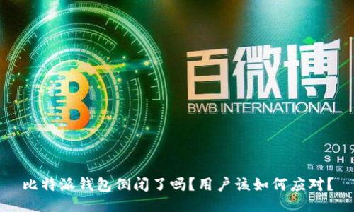 比特派钱包倒闭了吗？用户该如何应对？