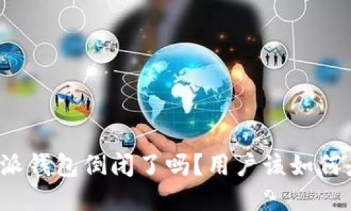 比特派钱包倒闭了吗？用户该如何应对？